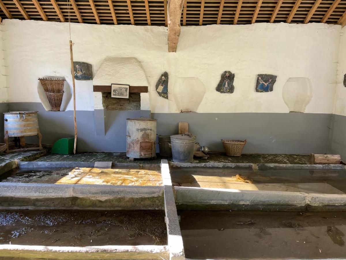 Apartment Au Vieux Lavoir *