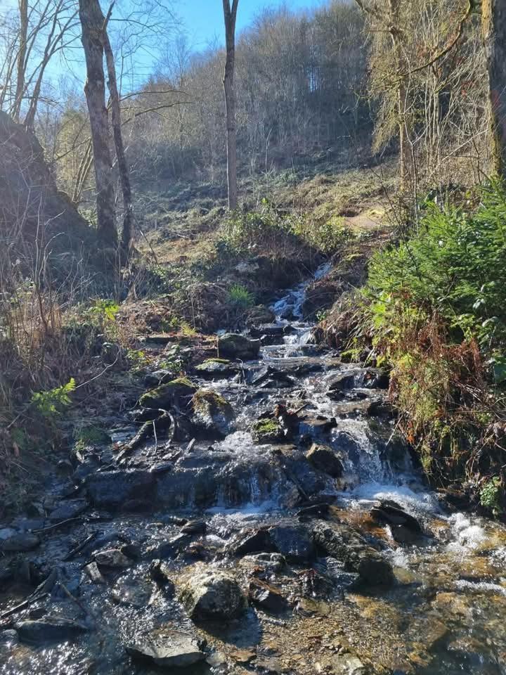 Au Vieux Lavoir *